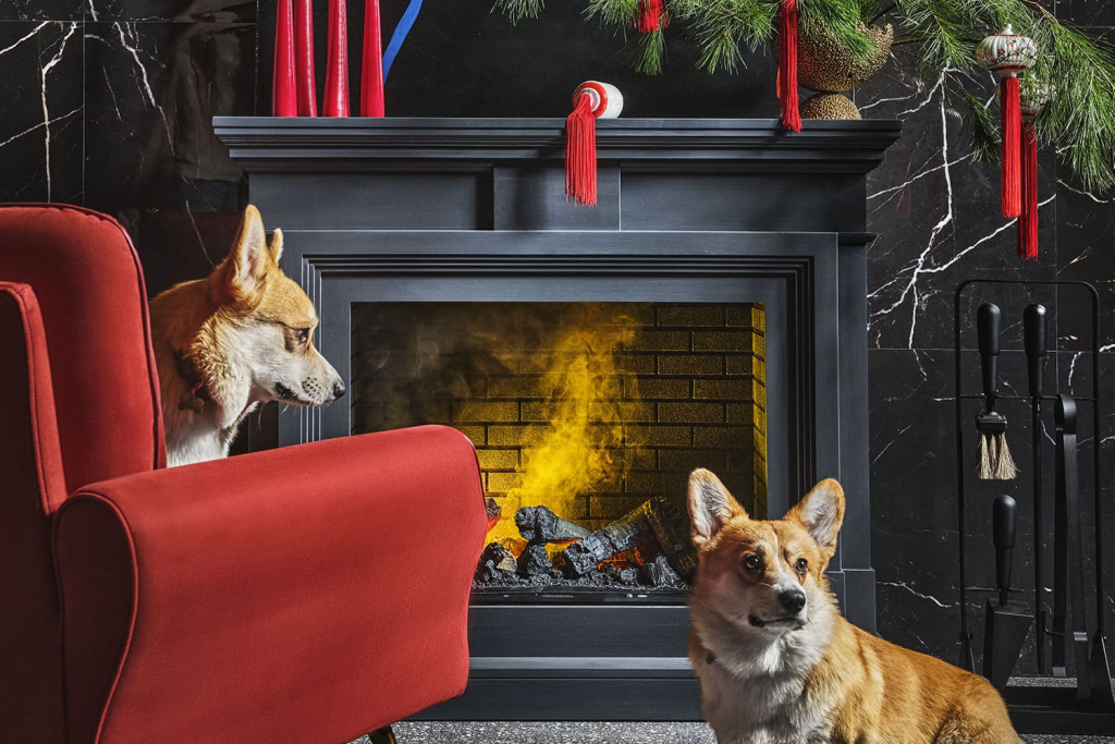 coventry_cassette600_ad_int.jpg coventry_cassette600_ad_int.jpg